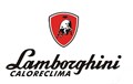 ТЭНЫ для Lamborghini