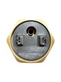 ТЭН RDT 3000W/230V G1 1/4, RU, медь 3182246